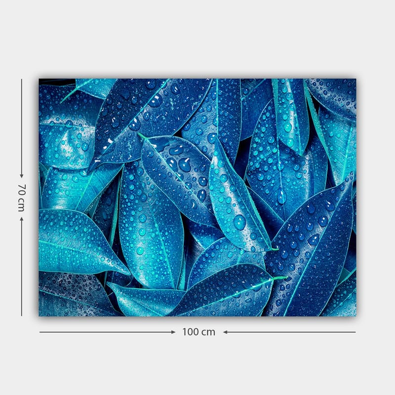 Canvastavla 70x100 cm - Närbild av vattendroppar på gröna blad som skapar en fräsch och livfull känsla - Blå / Turkos - Inredning & dekor - Tavlor & konst - Canvastavla