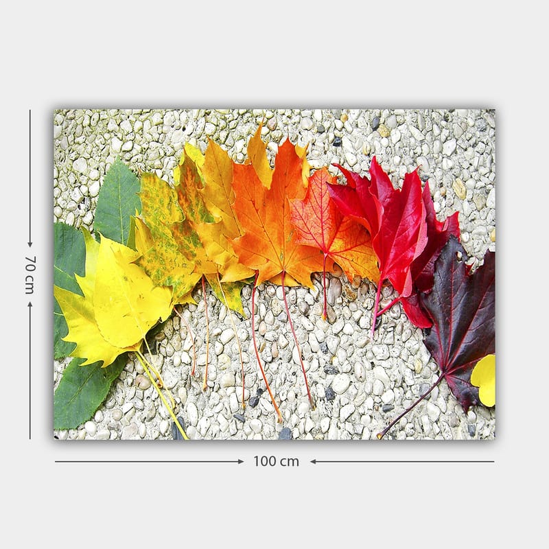 Canvastavla 70x100 cm - Rad av färgglada höstlöv i olika nyanser som visar naturens skönhet - Röd / Orange / Gul - Inredning & dekor - Tavlor & konst - Canvastavla