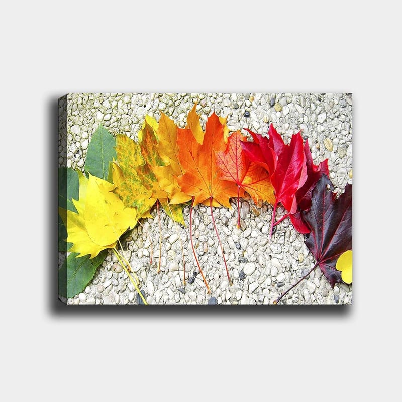 Canvastavla 70x100 cm - Rad av färgglada höstlöv i olika nyanser som visar naturens skönhet, Röd / Orange / Gul