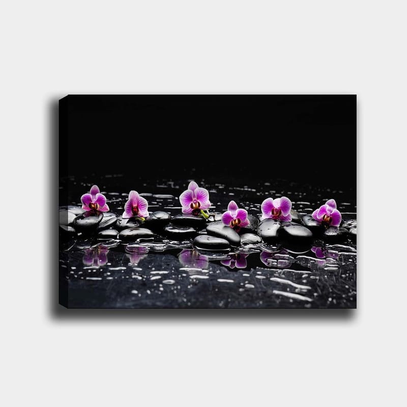 Canvastavla 70x100 cm - Rad av lila orkidéer som vilar på svarta stenar med reflektioner i vatten, Lila / Svart