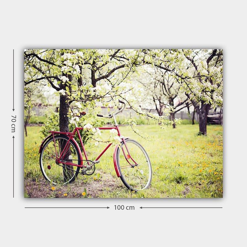 Canvastavla 70x100 cm - Röd cykel stående under blommande träd i en grönskande miljö - Röd / Grön / Vit - Inredning & dekor - Tavlor & konst - Canvastavla