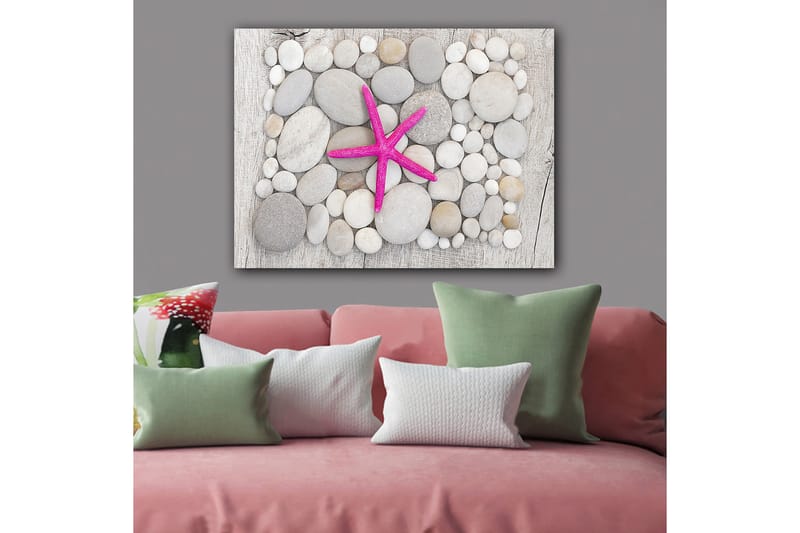 Canvastavla 70x100 cm - Rosa sjöstjärna omgiven av grå och vita stenar, Grå / Vit / Rosa