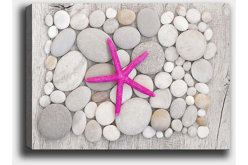 Canvastavla 70x100 cm - Rosa sjöstjärna omgiven av grå och vita stenar - Grå / Vit / Rosa - Inredning & dekor - Tavlor & konst - Canvastavla