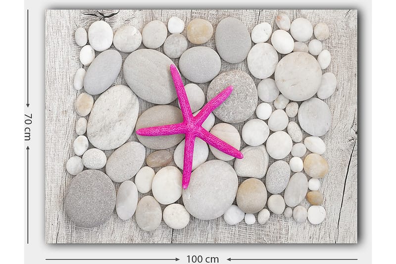 Canvastavla 70x100 cm - Rosa sjöstjärna omgiven av grå och vita stenar - Grå / Vit / Rosa - Inredning & dekor - Tavlor & konst - Canvastavla