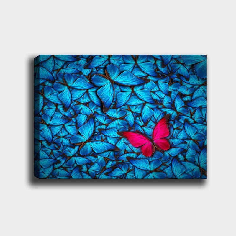 Canvastavla 70x100 cm - Samling av blå fjärilar med en framträdande rosa fjäril i mitten - Blå / Rosa - Inredning & dekor - Tavlor & konst - Canvastavla