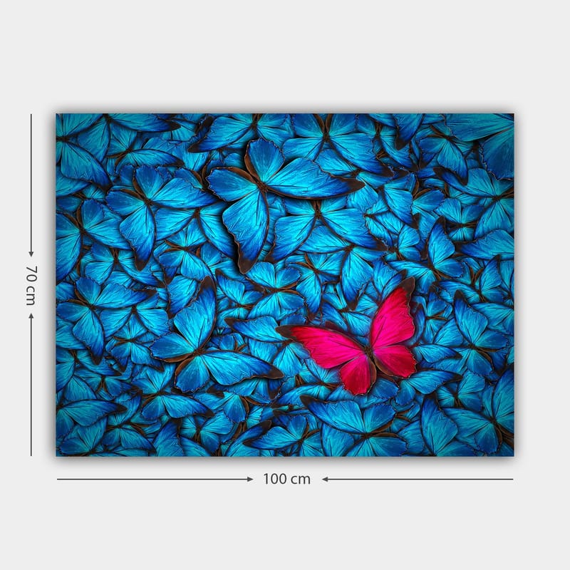 Canvastavla 70x100 cm - Samling av blå fjärilar med en framträdande rosa fjäril i mitten - Blå / Rosa - Inredning & dekor - Tavlor & konst - Canvastavla