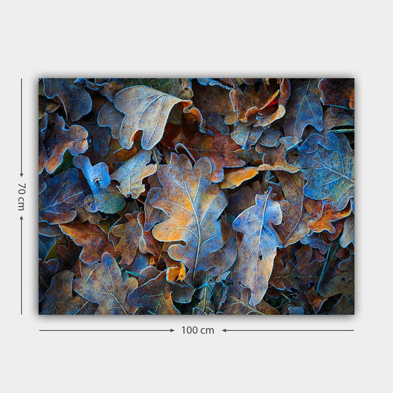 Canvastavla 70x100 cm - Samling av färgglada ekblad i olika nyanser som skapar en harmonisk och naturlig komposition - Blå / Orange / Brun - Inredning & dekor - Tavlor & konst - Canvastavla