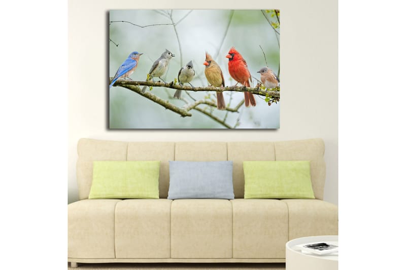 Canvastavla 70x100 cm - Samling av färgglada fåglar som sitter på en gren - Blå / Röd / Grå - Inredning & dekor - Tavlor & konst - Canvastavla