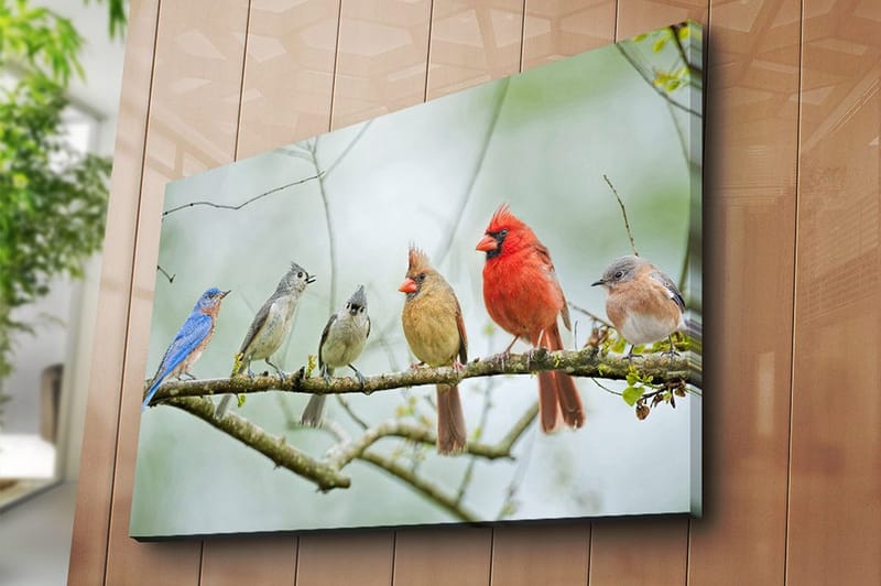 Canvastavla 70x100 cm - Samling av färgglada fåglar som sitter på en gren - Blå / Röd / Grå - Inredning & dekor - Tavlor & konst - Canvastavla