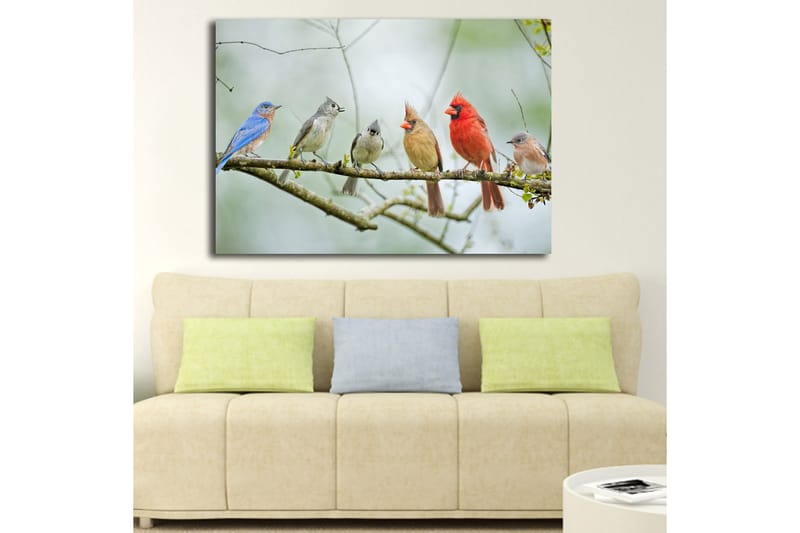 Canvastavla 70x100 cm - Samling av färgglada fåglar som sitter på en gren - Blå / Röd / Grå - Inredning & dekor - Tavlor & konst - Canvastavla