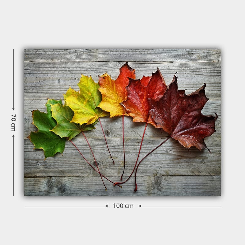 Canvastavla 70x100 cm - Samling av färgglada höstlöv i olika nyanser på en träyta - Grön / Gul / Röd - Inredning & dekor - Tavlor & konst - Canvastavla