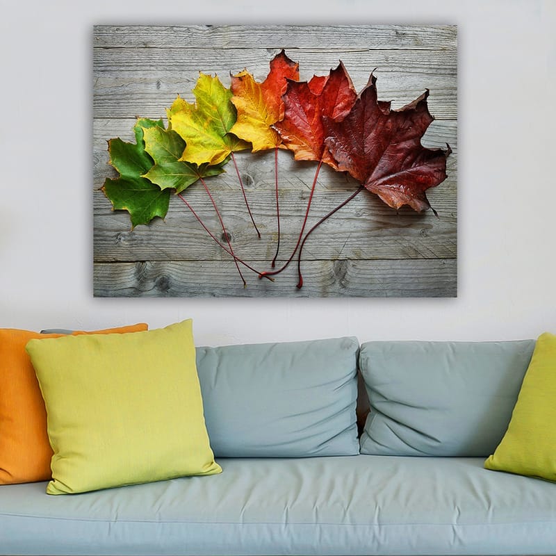 Canvastavla 70x100 cm - Samling av färgglada höstlöv i olika nyanser på en träyta - Grön / Gul / Röd - Inredning & dekor - Tavlor & konst - Canvastavla