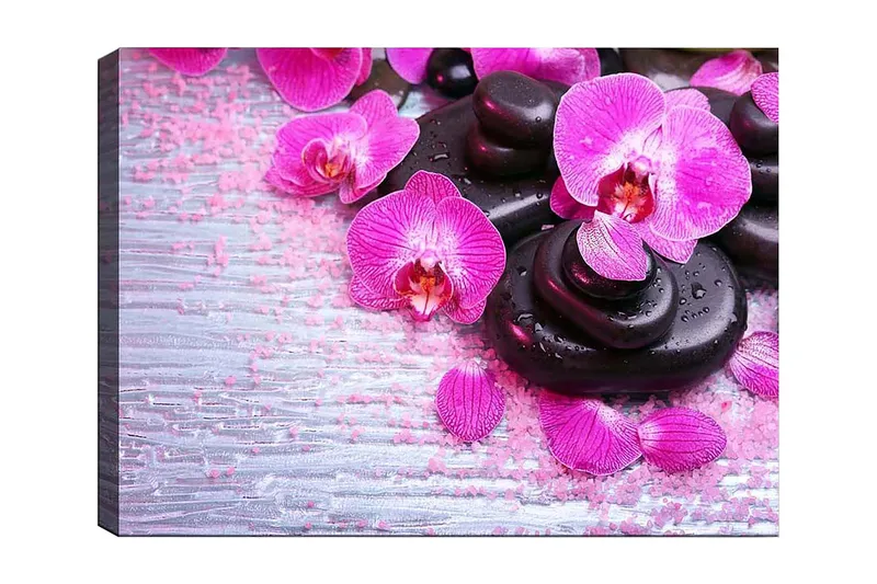 Canvastavla 70x100 cm - Samling av lila orkidéer och svarta stenar på en ljus bakgrund, Lila / Svart