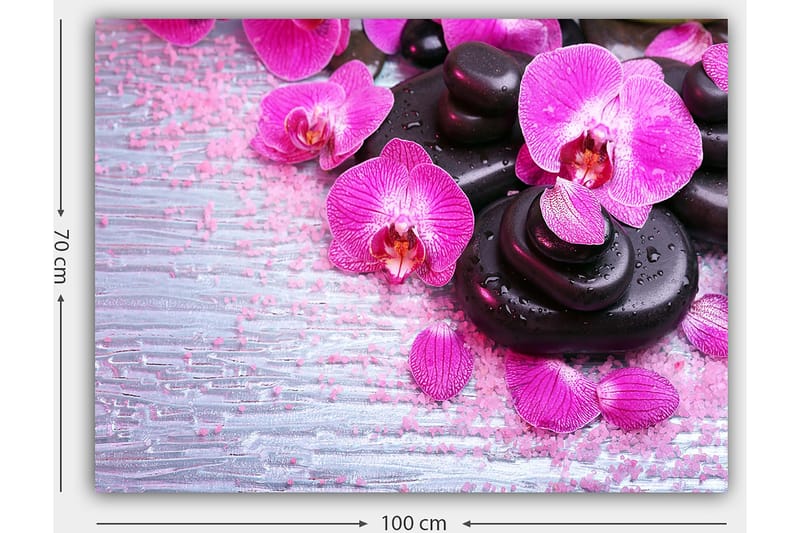 Canvastavla 70x100 cm - Samling av lila orkidéer och svarta stenar på en ljus bakgrund - Lila / Svart - Inredning & dekor - Tavlor & konst - Canvastavla