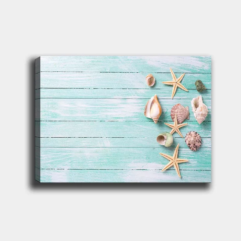 Canvastavla 70x100 cm - Samling av snäckor och sjöstjärnor på en ljusblå träyta, Ljusblå / Beige / Grön