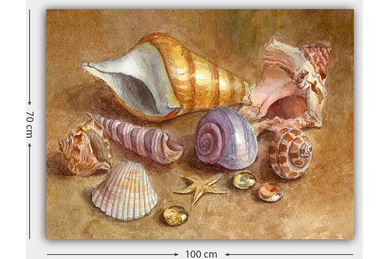 Canvastavla 70x100 cm - Samling av snäckor och stenar i mjuka, naturliga färger - Beige / Lila / Orange - Inredning & dekor - Tavlor & konst - Canvastavla