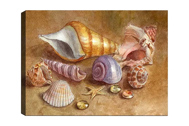 Canvastavla 70x100 cm - Samling av snäckor och stenar i mjuka, naturliga färger, Beige / Lila / Orange