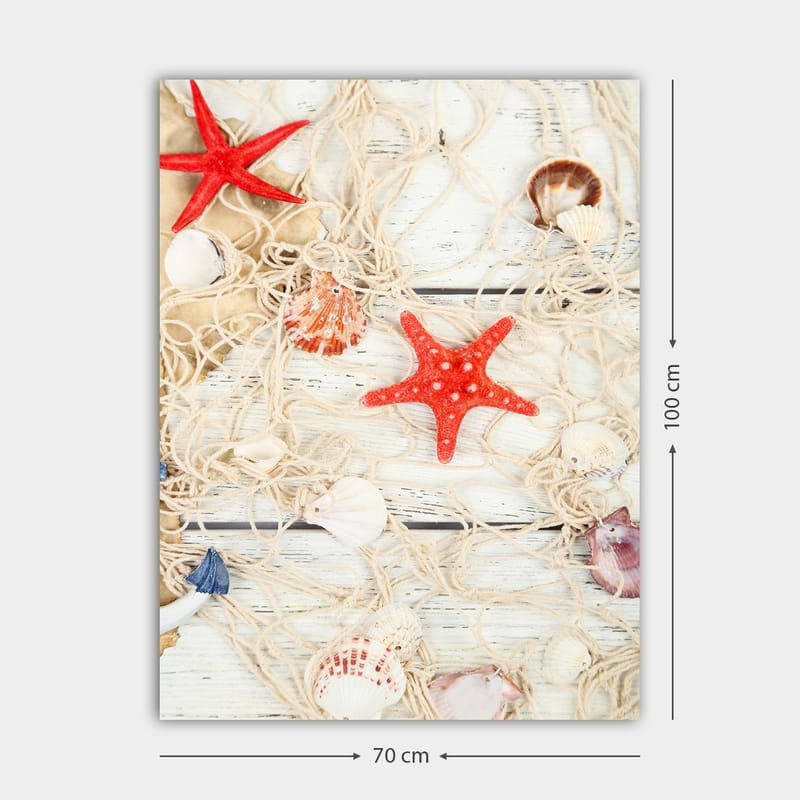 Canvastavla 70x100 cm - Samling av snäckor och stjärnformade sjöstjärnor på ett nät - Röd / Beige / Vit - Inredning & dekor - Tavlor & konst - Canvastavla