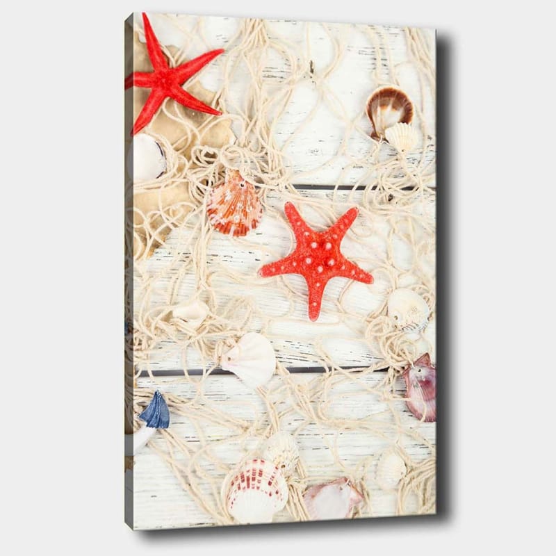 Canvastavla 70x100 cm - Samling av snäckor och stjärnformade sjöstjärnor på ett nät, Röd / Beige / Vit