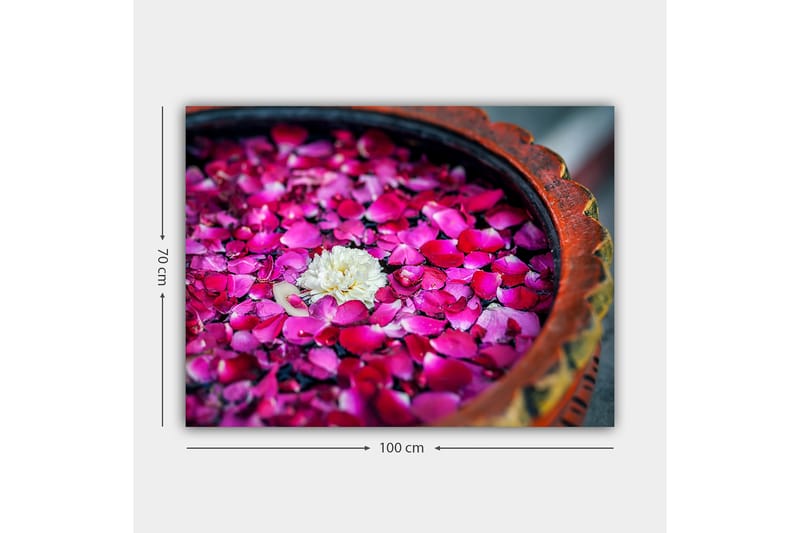 Canvastavla 70x100 cm - Skål med rosa rosblad och en vit blomma som flyter på ytan - Rosa / Vit - Inredning & dekor - Tavlor & konst - Canvastavla