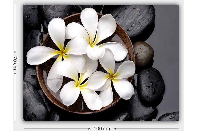 Canvastavla 70x100 cm - Skål med vita blommor och svarta stenar - Vit / Svart / Gul - Inredning & dekor - Tavlor & konst - Canvastavla