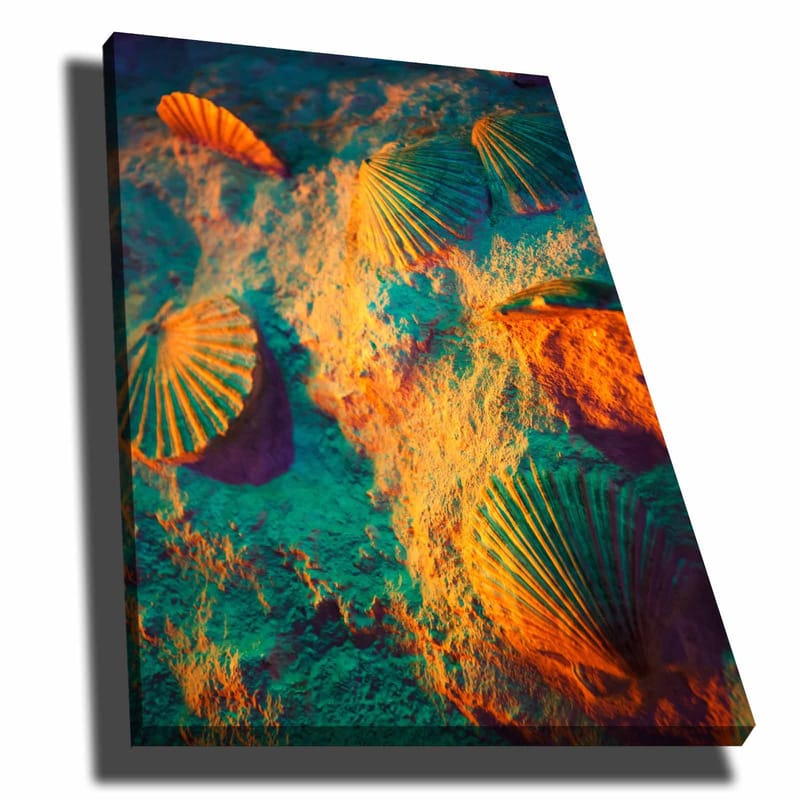 Canvastavla 70x100 cm - Skaldjursskal på sand med en färgglad och drömlik bakgrund - Turkos / Orange / Lila - Inredning & dekor - Tavlor & konst - Canvastavla