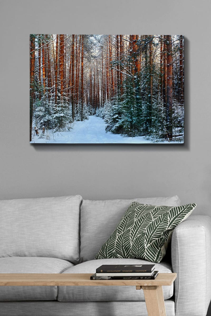Canvastavla 70x100 cm - Snötäckt skogsgång omgiven av höga, rödbruna tallar - Rödbrun / Vit / Grön - Inredning & dekor - Tavlor & konst - Canvastavla