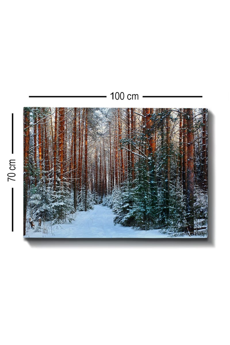 Canvastavla 70x100 cm - Snötäckt skogsgång omgiven av höga, rödbruna tallar - Rödbrun / Vit / Grön - Inredning & dekor - Tavlor & konst - Canvastavla