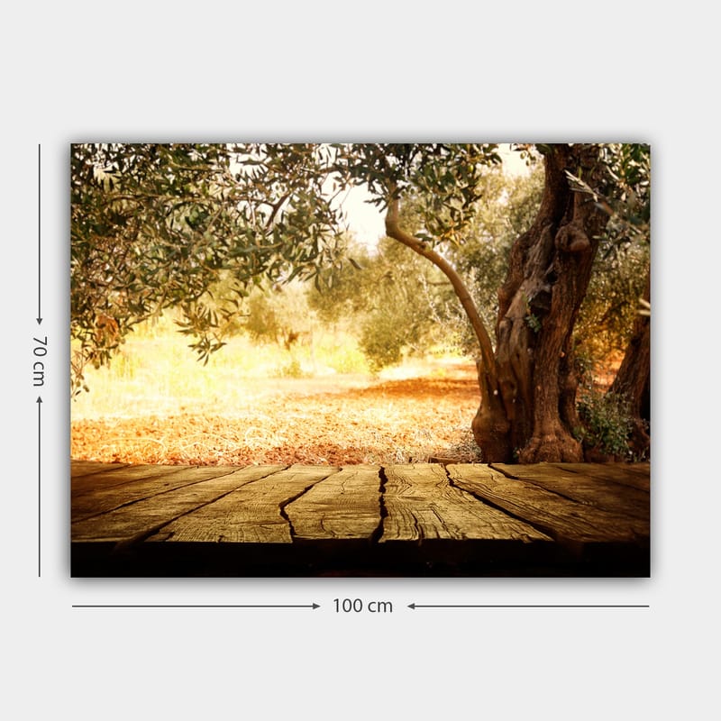 Canvastavla 70x100 cm - Solbelyst landskapsscen med olivträd och en träyta i förgrunden - Guld / Brun / Grön - Inredning & dekor - Tavlor & konst - Canvastavla