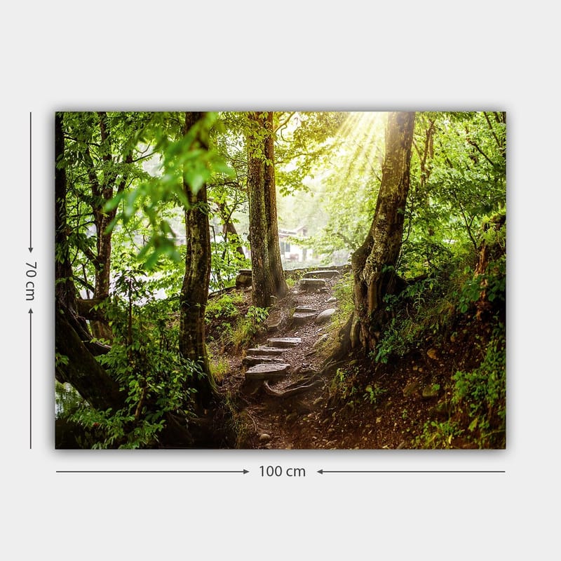 Canvastavla 70x100 cm - Solbelyst stig omgiven av grönska i en skogsmiljö - Grön / Brun - Inredning & dekor - Tavlor & konst - Canvastavla