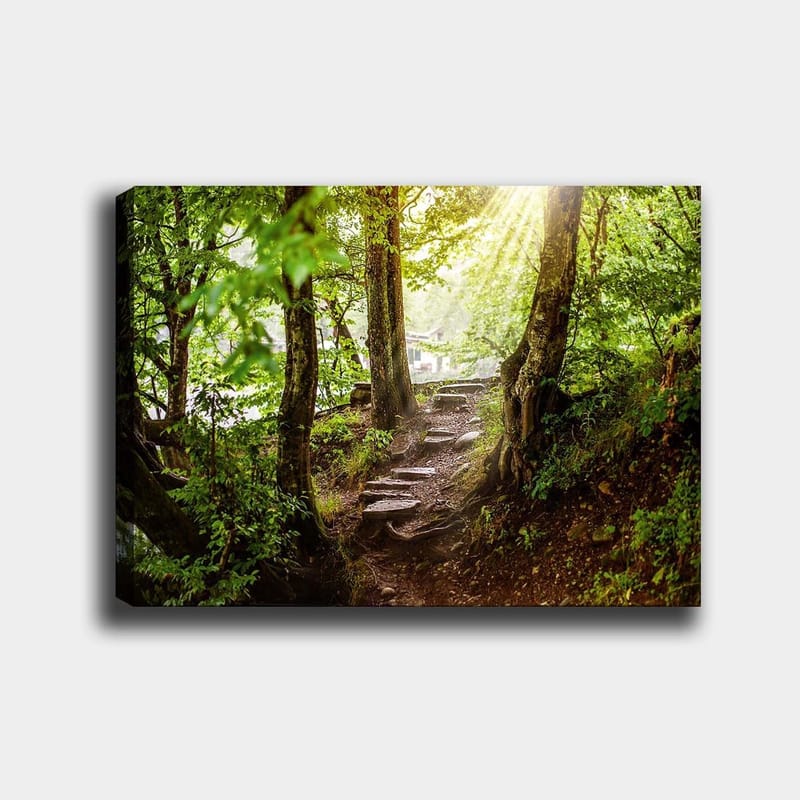 Canvastavla 70x100 cm - Solbelyst stig omgiven av grönska i en skogsmiljö - Grön / Brun - Inredning & dekor - Tavlor & konst - Canvastavla