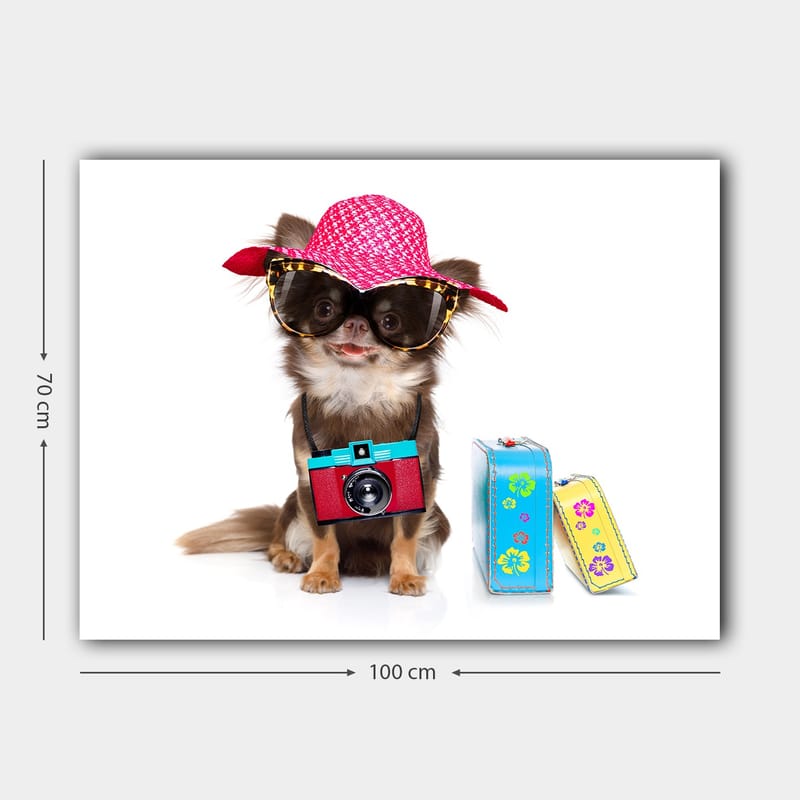 Canvastavla 70x100 cm - Söt chihuahua klädd i solhatt och solglasögon, med en kamera hängande runt halsen - Rosa / Blå / Röd - Inredning & dekor - Tavlor & konst - Canvastavla