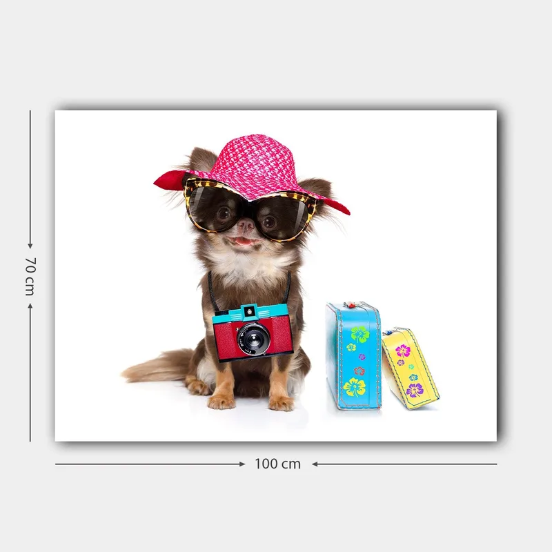 Canvastavla 70x100 cm - Söt chihuahua klädd i solhatt och solglasögon, med en kamera hängande runt halsen - Rosa / Blå / Röd - Inredning & dekor - Tavlor & konst - Canvastavla