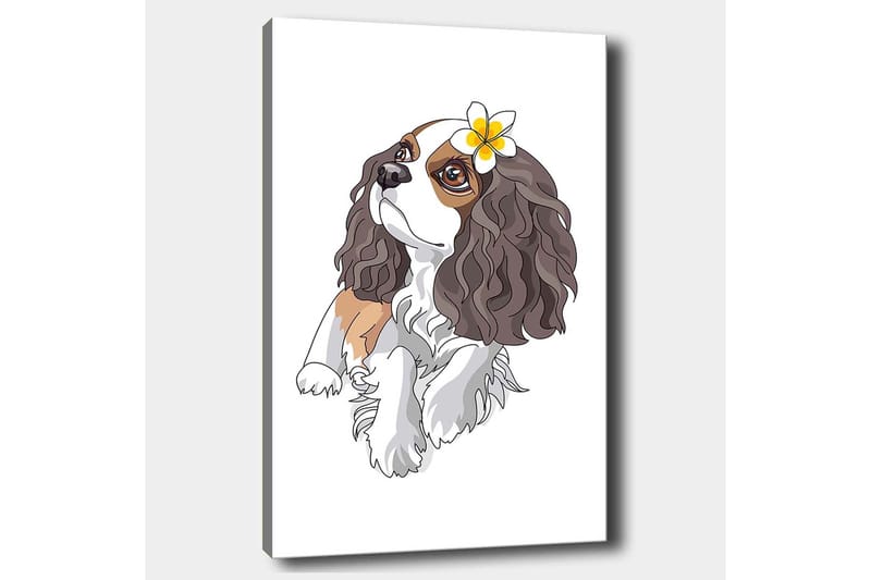 Canvastavla 70x100 cm - Söt hund med lockigt hår och en blomma i örat - Brun / Vit / Svart - Inredning & dekor - Tavlor & konst - Canvastavla