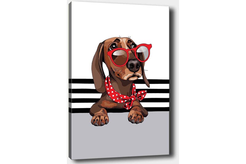 Canvastavla 70x100 cm - Söt hund med solglasögon och en röd prickig scarf - Brun / Röd / Grå - Inredning & dekor - Tavlor & konst - Canvastavla