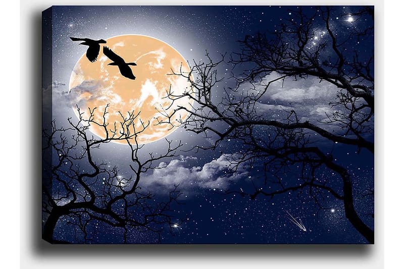Canvastavla 70x100 cm - Stämningsfull nattlandskap med en stor måne och silhuetter av träd samt fåglar som flyger över himlen - Mörkblå / Svart / Ljusgul - Inredning & dekor - Tavlor & konst - Canvastavla