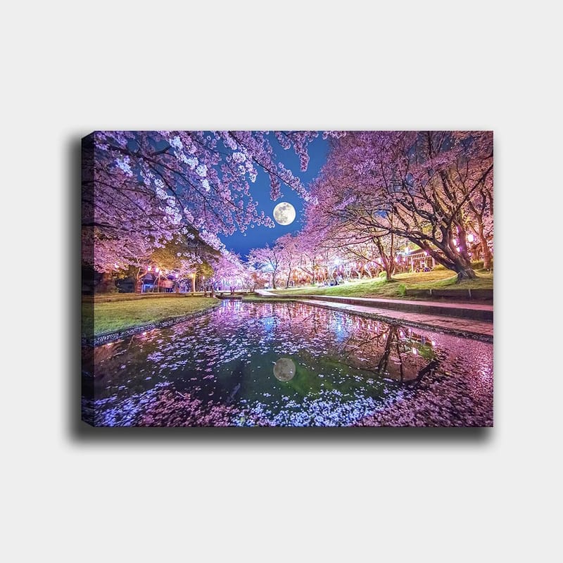 Canvastavla 70x100 cm - Stämningsfull scen med körsbärsträd i blom och en fullmåne som speglas i en stilla sjö - Rosa / Blå / Grön - Inredning & dekor - Tavlor & konst - Canvastavla