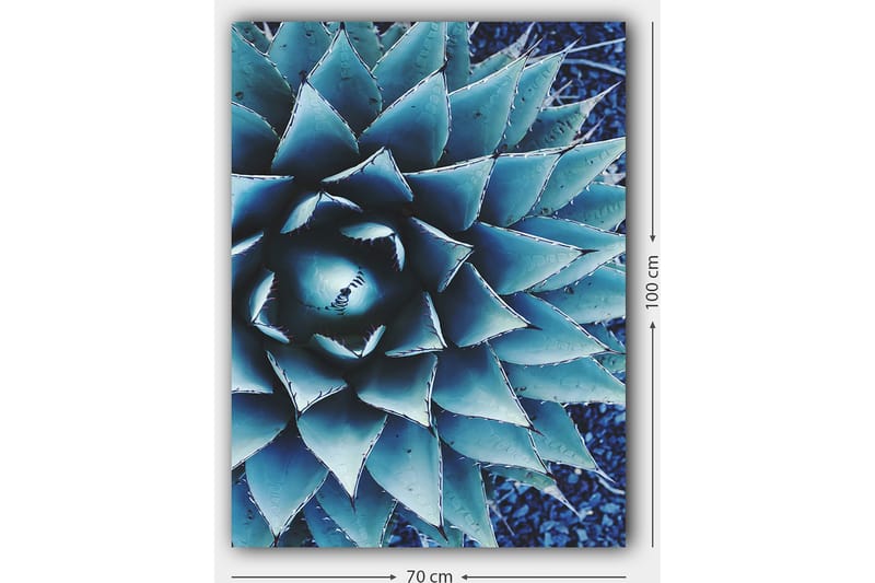 Canvastavla 70x100 cm - Stiliserad bild av en agaveplanta med fokus på dess symmetriska bladstruktur - Blå / Grön - Inredning & dekor - Tavlor & konst - Canvastavla