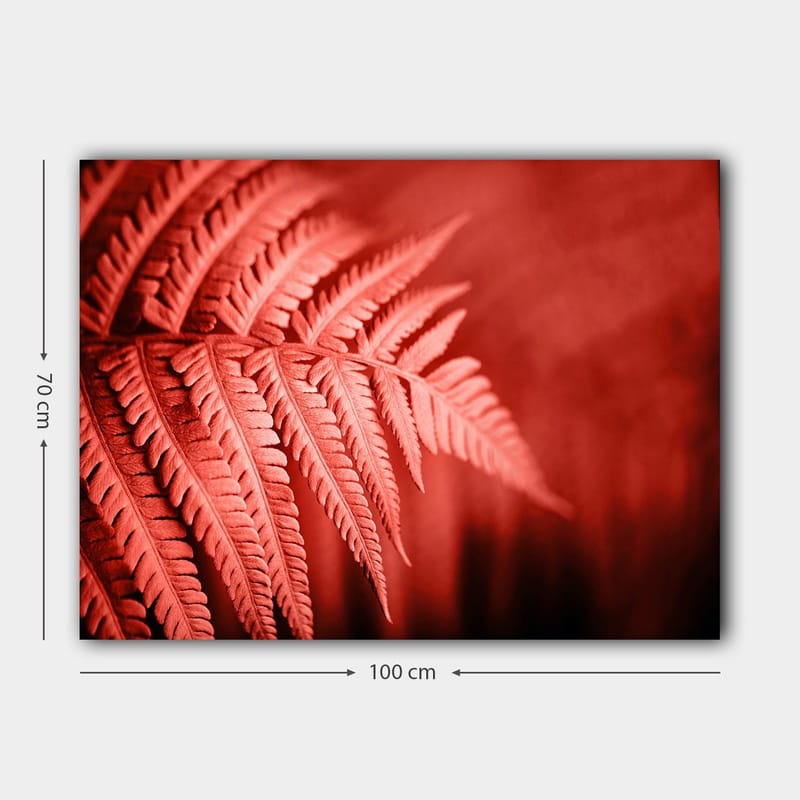 Canvastavla 70x100 cm - Stiliserad bild av ett rödaktigt ormbunke som framhäver dess detaljer - Röd / Svart - Inredning & dekor - Tavlor & konst - Canvastavla