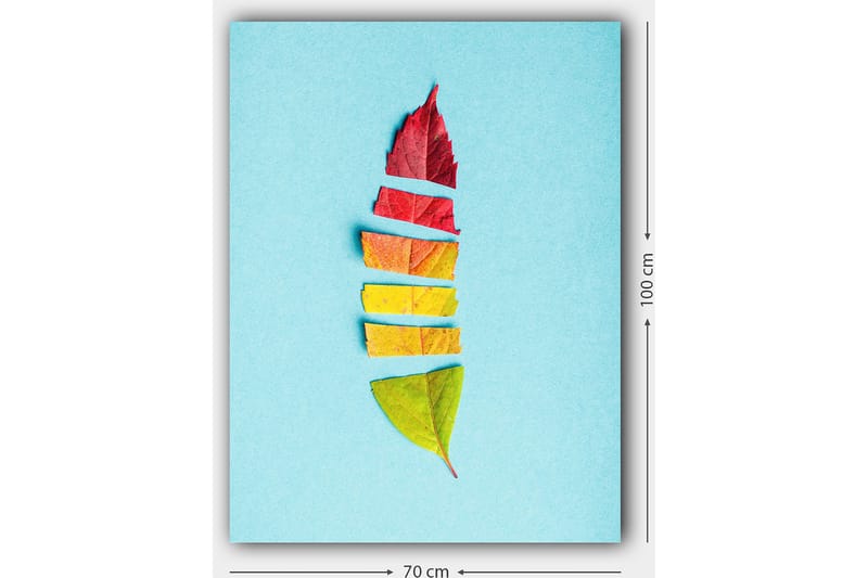 Canvastavla 70x100 cm - Stiliserad fjäder skapad av färgglada höstlöv - Röd / Gul / Grön - Inredning & dekor - Tavlor & konst - Canvastavla