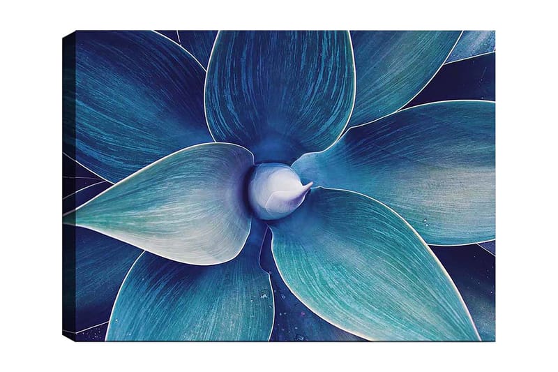 Canvastavla 70x100 cm - Stiliserad närbild av en växt med stora, böljande blad - Blå / Turkos - Inredning & dekor - Tavlor & konst - Canvastavla
