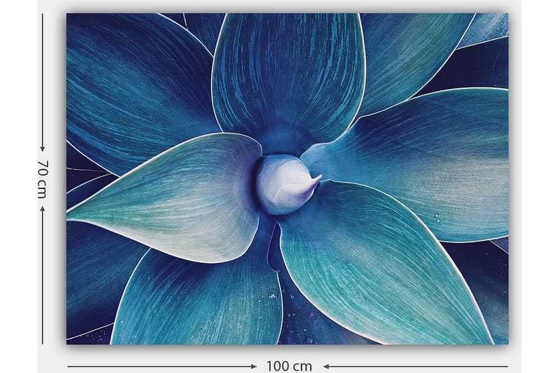 Canvastavla 70x100 cm - Stiliserad närbild av en växt med stora, böljande blad - Blå / Turkos - Inredning & dekor - Tavlor & konst - Canvastavla
