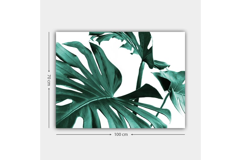 Canvastavla 70x100 cm - Stiliserade gröna palmblad mot en vit bakgrund - Mörkgrön / Turkos - Inredning & dekor - Tavlor & konst - Canvastavla