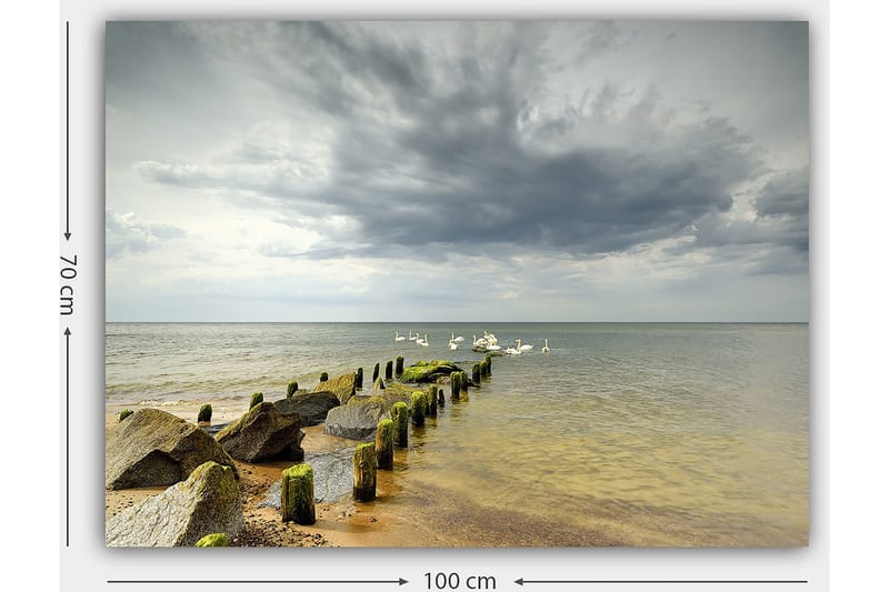 Canvastavla 70x100 cm - Stilla sjöscen med svanar som simmar vid en brygga omgiven av stenar - Grå / Grön / Blå - Inredning & dekor - Tavlor & konst - Canvastavla