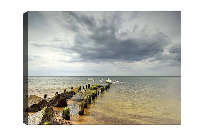 Canvastavla 70x100 cm - Stilla sjöscen med svanar som simmar vid en brygga omgiven av stenar, Grå / Grön / Blå
