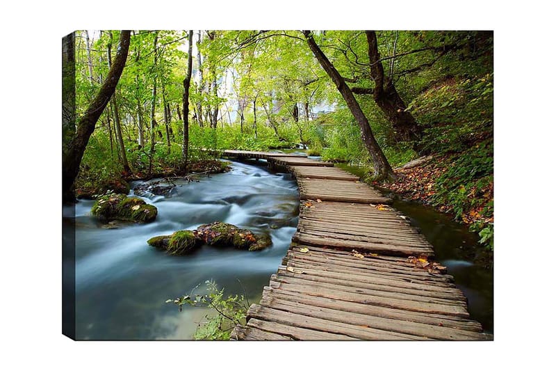 Canvastavla 70x100 cm - Stilla skogsstig som slingrar sig över en porlande bäck omgiven av grönskande träd och växtlighet - Grön / Brun / Blå - Inredning & dekor - Tavlor & konst - Canvastavla