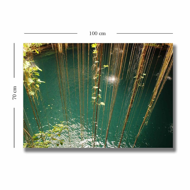 Canvastavla 70x100 cm - Stilla vattenyta omgiven av hängande växtlighet och naturliga element - Turkos / Grön / Brun - Inredning & dekor - Tavlor & konst - Canvastavla