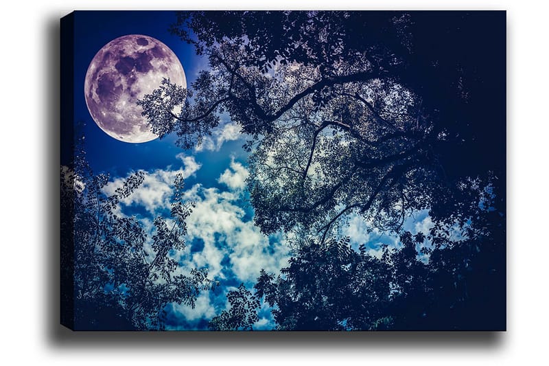 Canvastavla 70x100 cm - Stjärnklar natt med en stor måne som lyser genom trädens grenar - Mörkblå / Ljusblå / Lila - Inredning & dekor - Tavlor & konst - Canvastavla