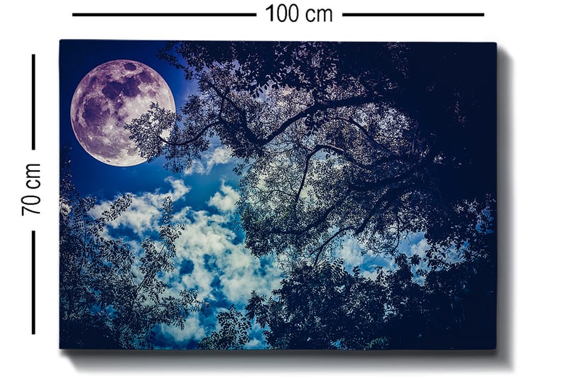 Canvastavla 70x100 cm - Stjärnklar natt med en stor måne som lyser genom trädens grenar - Mörkblå / Ljusblå / Lila - Inredning & dekor - Tavlor & konst - Canvastavla