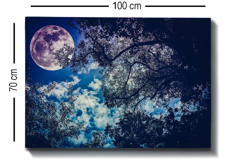 Canvastavla 70x100 cm - Stjärnklar natt med en stor måne som lyser genom trädens grenar - Mörkblå / Ljusblå / Lila - Inredning & dekor - Tavlor & konst - Canvastavla